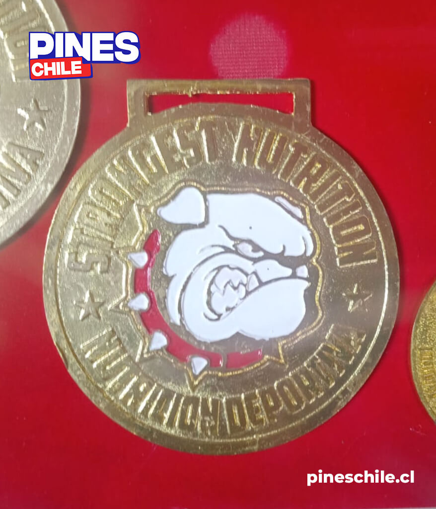 Medallas personalizada dog