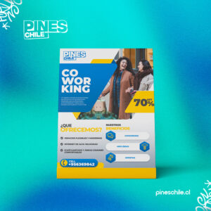 Flyer publicitarios 1