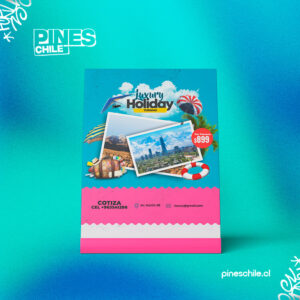 Flyer publicitarios 2