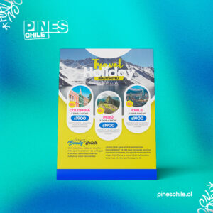 Flyer publicitarios 4