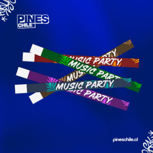 Pulsera tyvek modelo 3