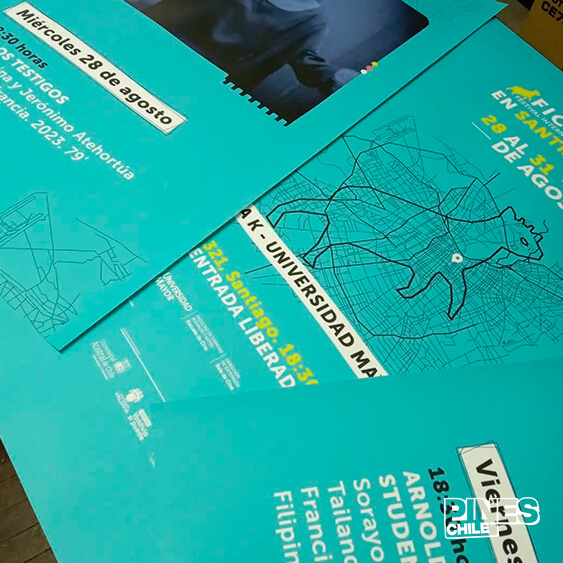 Afiche 2