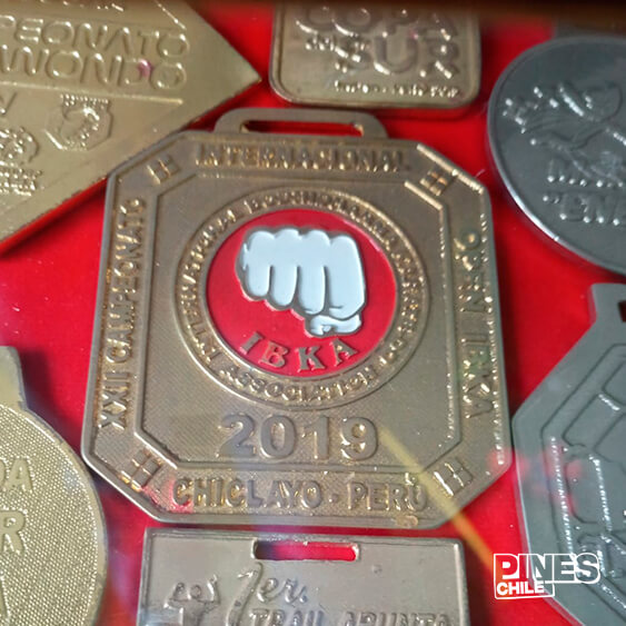 Trabajo medalla 5