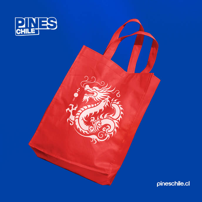 Modelo bolsa 1