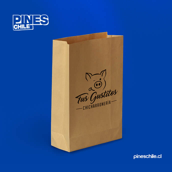 Modelo bolsa 2