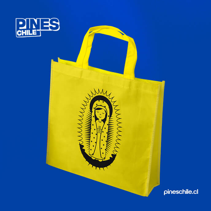Modelo bolsa 3