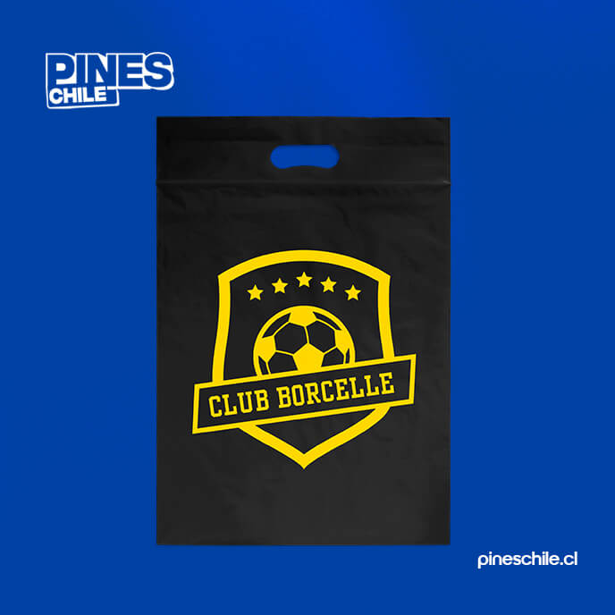 Modelo bolsa 4