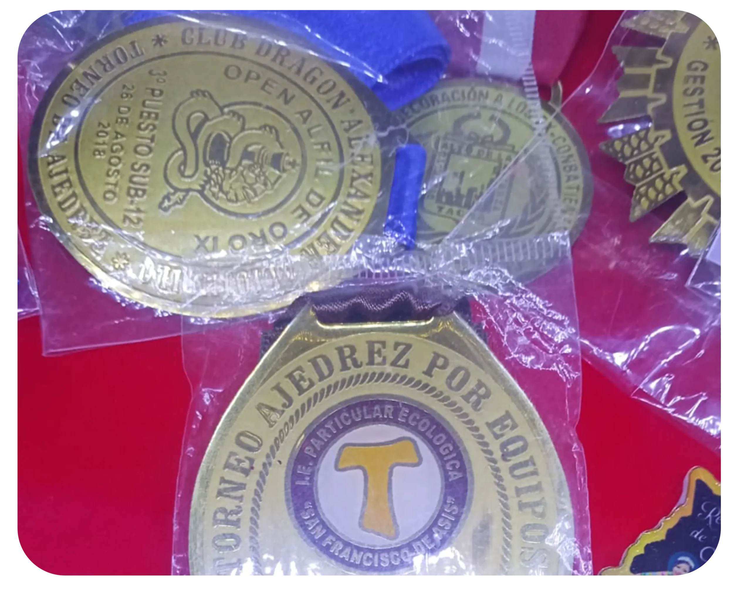 Piocha personalizada baño oro