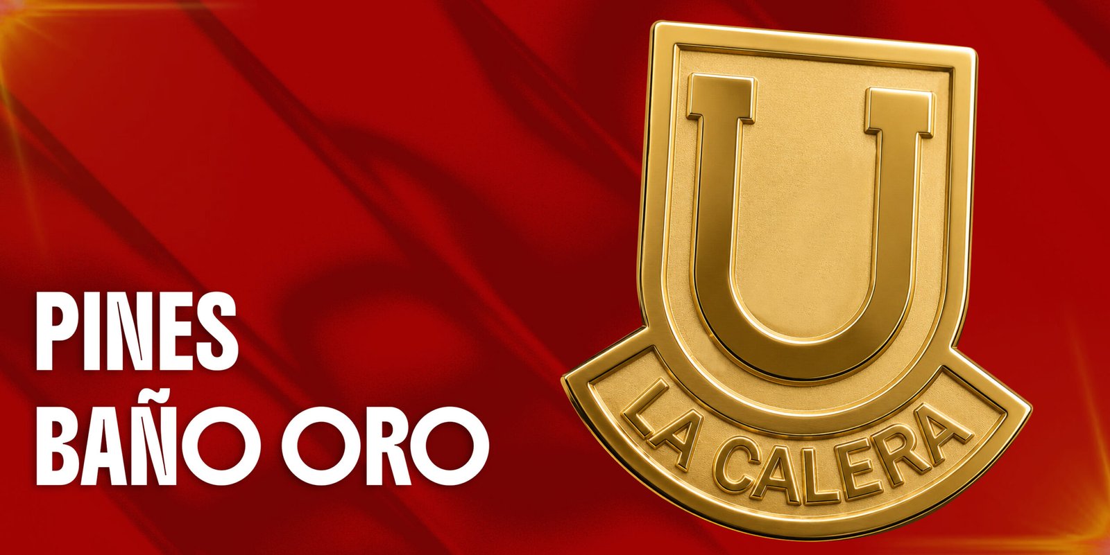 Pines baño oro banner